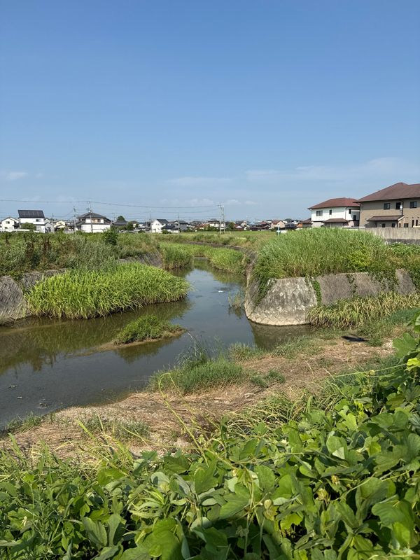 合流地点