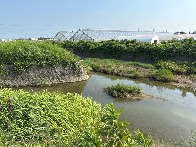 合流地点()