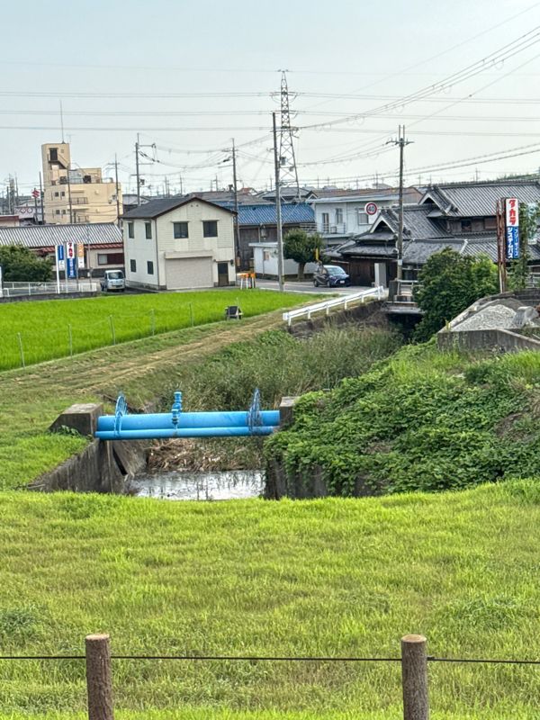 満留池
